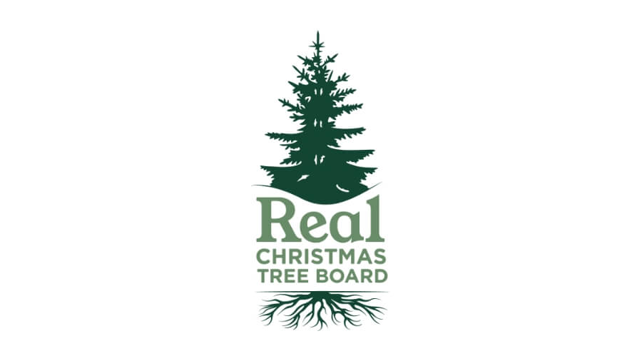 Buying A Real Christmas Tree This Season? Here’s How To Pick And Care For One