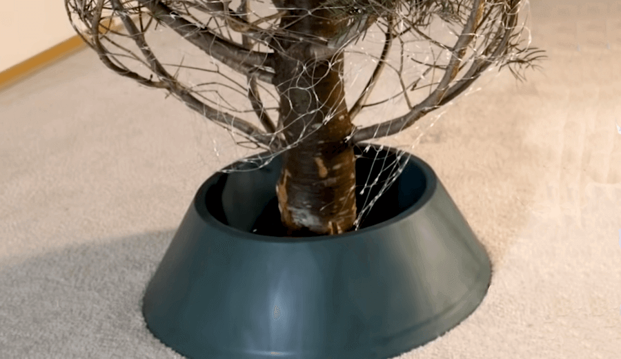Photo of the base of a Christmas tree inside a plastic green tree stand.